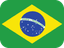 Brazil's flag